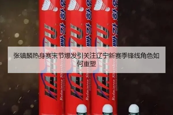张镇麟热身赛末节爆发引关注辽宁新赛季锋线角色如何重塑